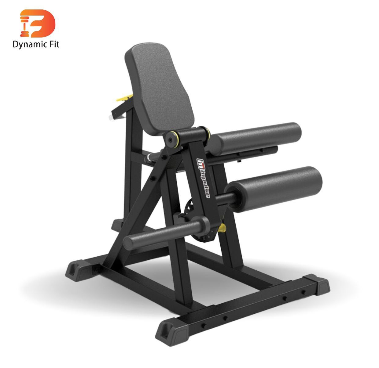 جلوران IFP1605