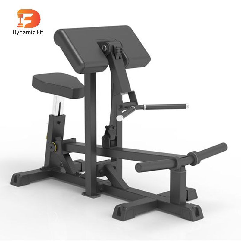 جلوبازو IFP1501